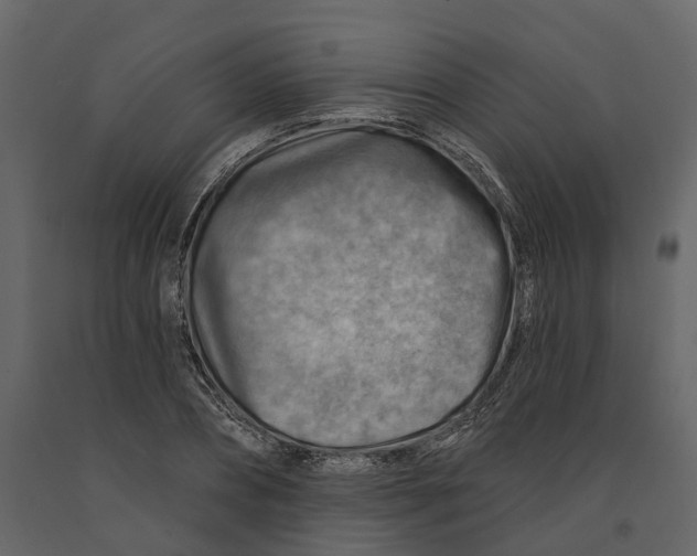 X0000090930882200708271042