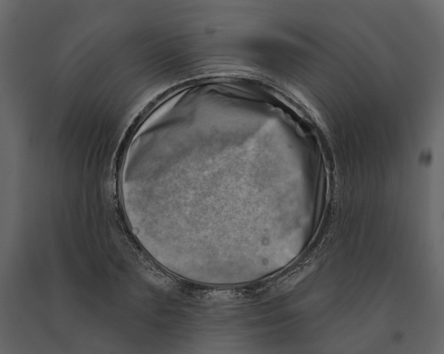 X0000090930883200708271042