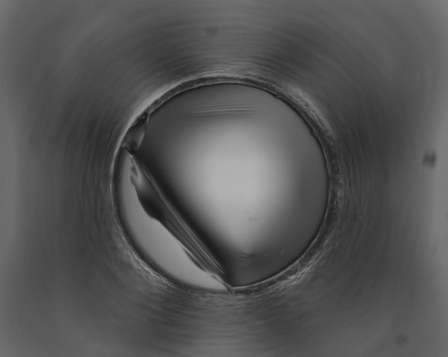 X0000090930884200708271042