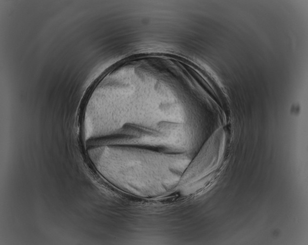 X0000090930885200708271042