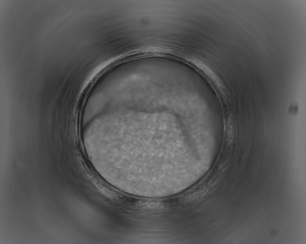 X0000090930886200708271042