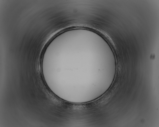 X0000090930887200708271042