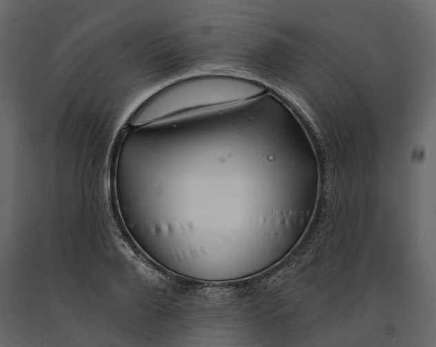 X0000090930888200708271042