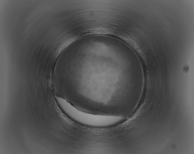 X0000090930889200708271042