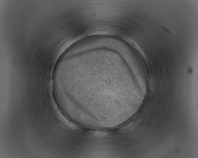 X0000090930890200708271042