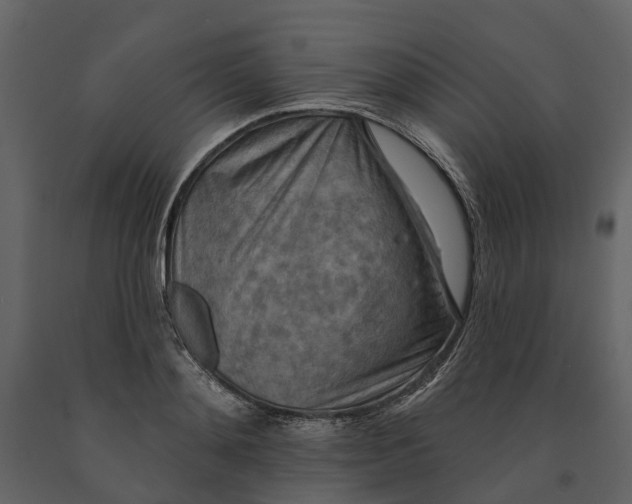 X0000090930892200708271042