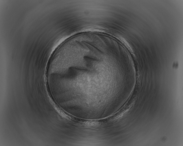 X0000090930893200708271042