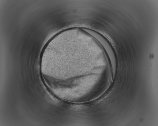 X0000090930894200708271042