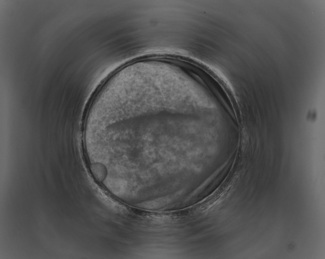 X0000090930895200708271042