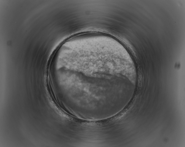 X0000090930896200708271042