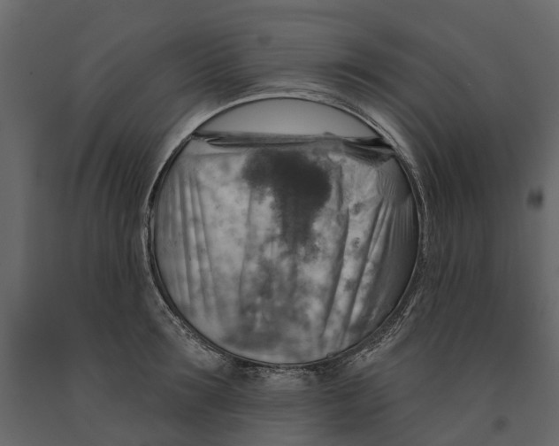 X0000090930899200708271042