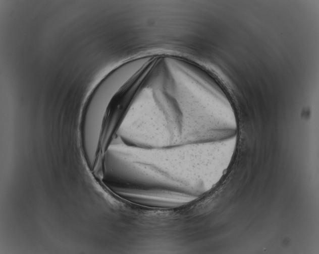 X0000090930902200708271042