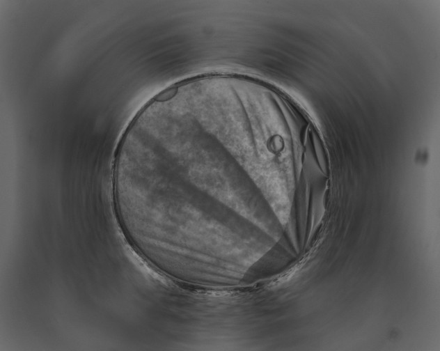 X0000090930903200708271042