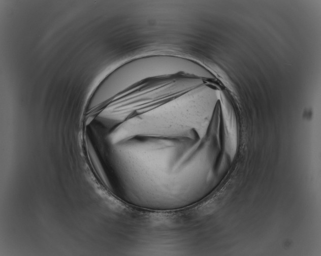 X0000090930904200708271042