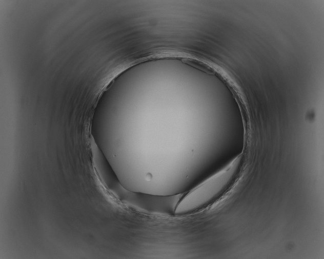 X0000090930905200708271042