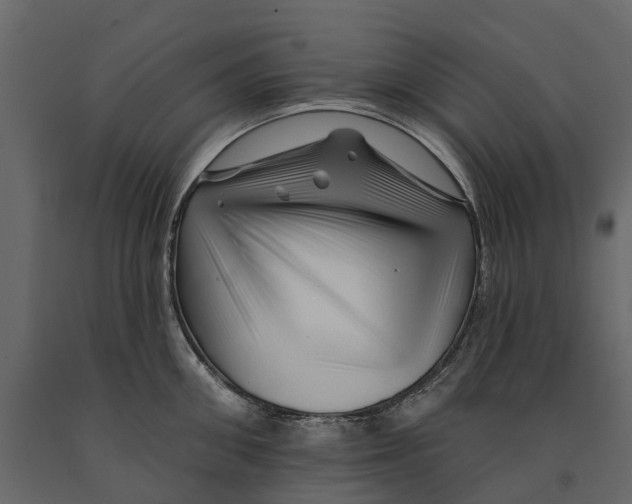 X0000090930906200708271042