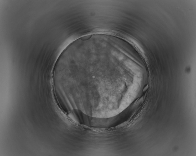 X0000090930907200708271042