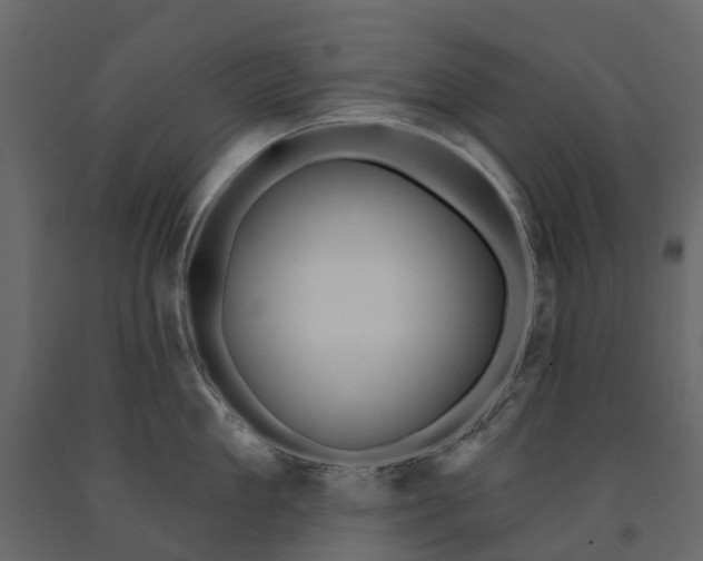 X0000090930909200708271042