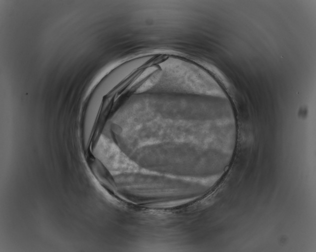 X0000090930910200708271042