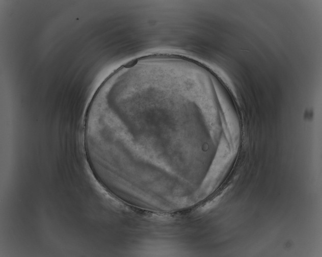 X0000090930911200708271042