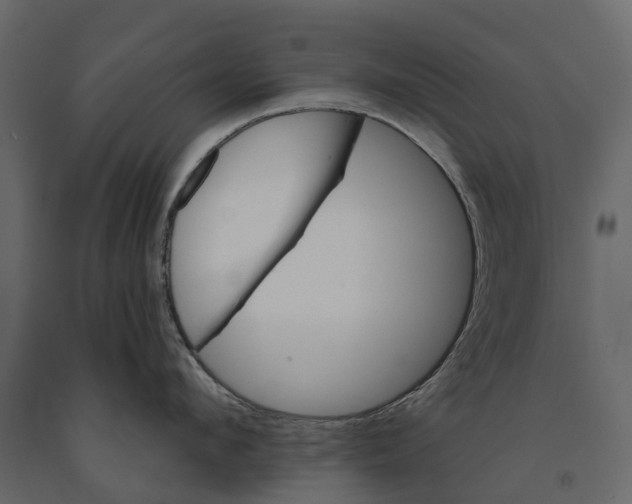 X0000090930912200708271042