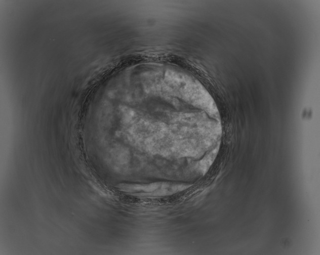 X0000090930913200708271041