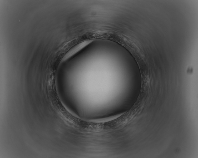 X0000090930914200708271041