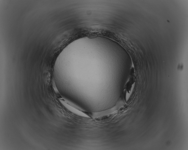 X0000090930916200708271041