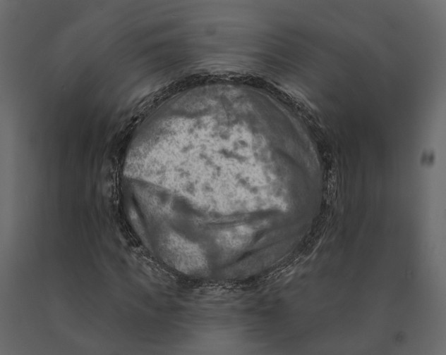 X0000090930917200708271041