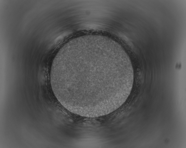 X0000090930918200708271041