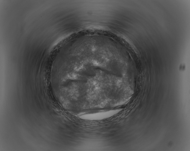 X0000090930919200708271041