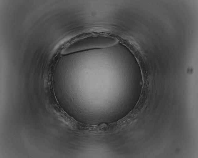 X0000090930920200708271041