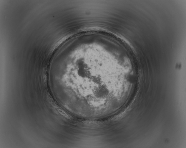 X0000090930921200708271041