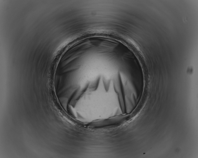 X0000090930922200708271041