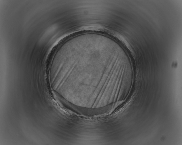 X0000090930923200708271041