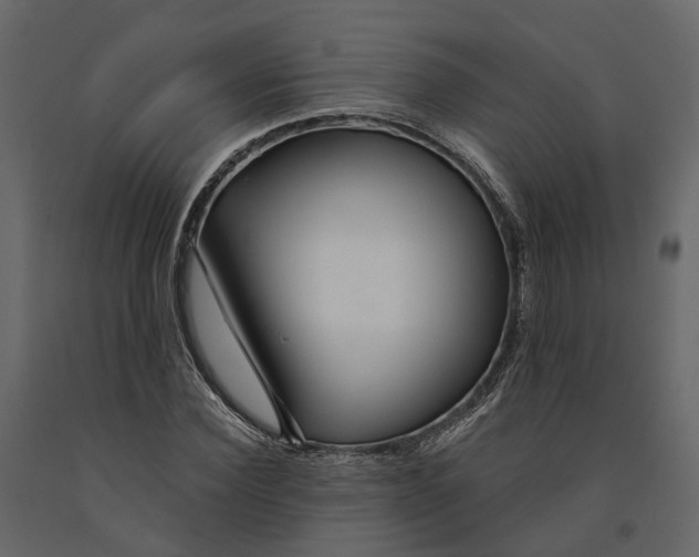 X0000090930924200708271041