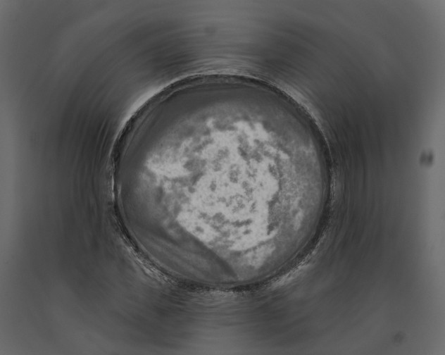 X0000090930925200708271041