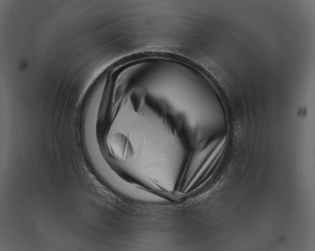 X0000090930926200708271041