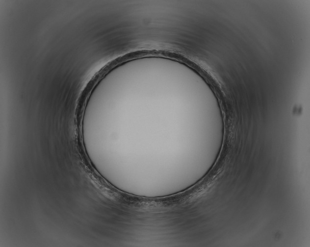 X0000090930927200708271041