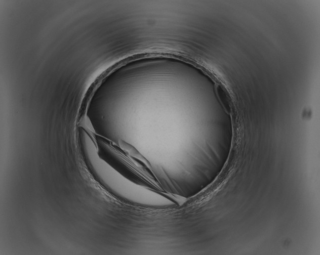 X0000090930928200708271041