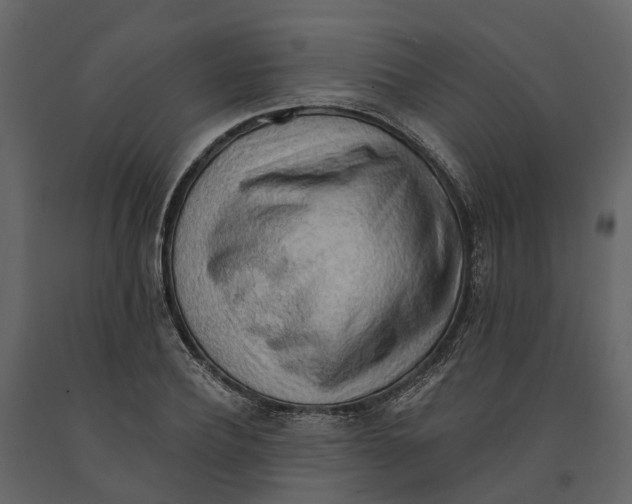 X0000090930932200708271042