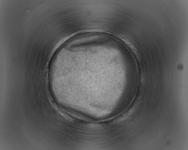 X0000090930933200708271042