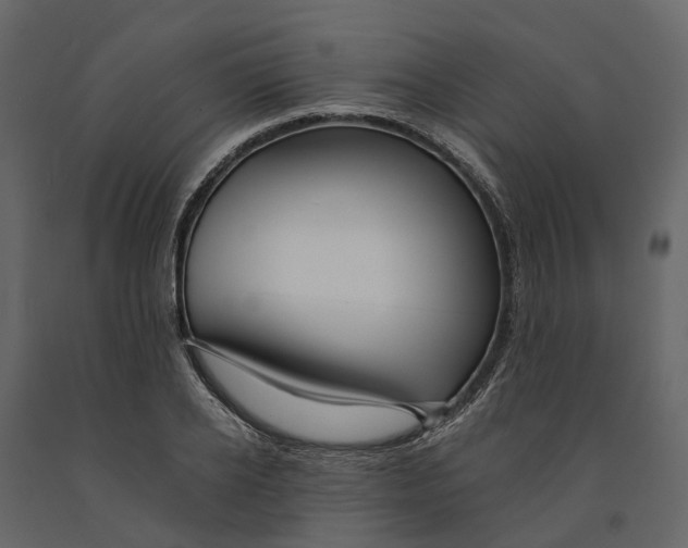 X0000090930934200708271042