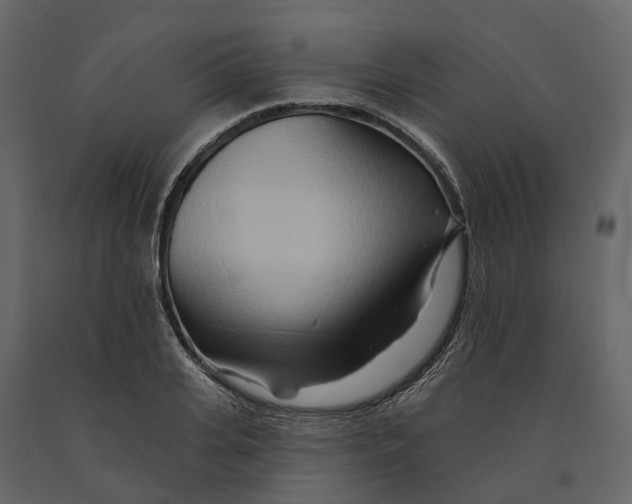 X0000090930935200708271042