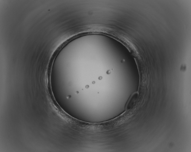 X0000090930936200708271042