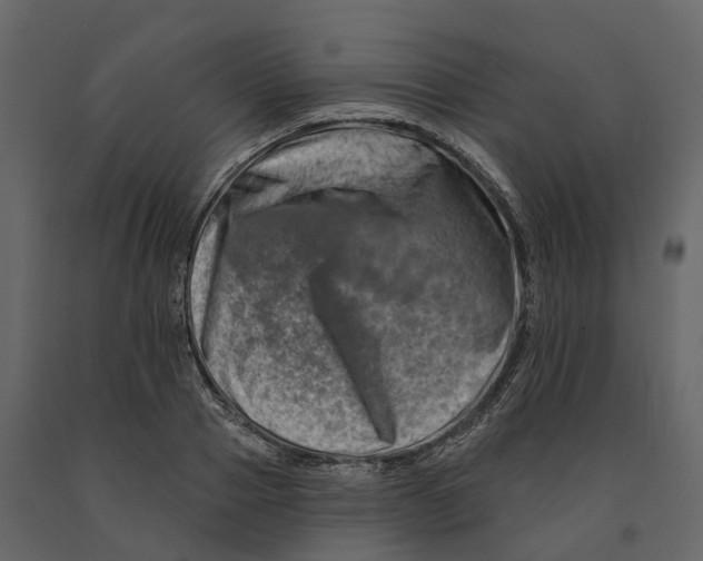 X0000090930937200708271042