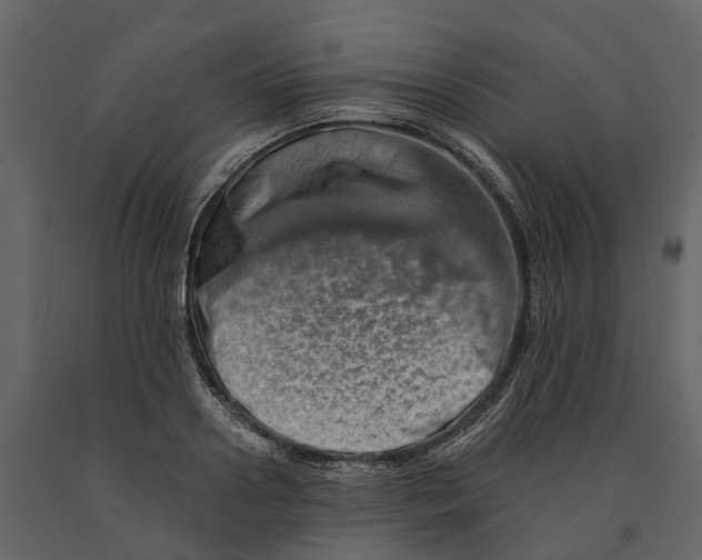 X0000090930938200708271042