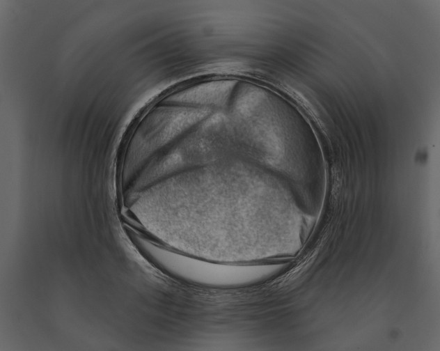 X0000090930939200708271042