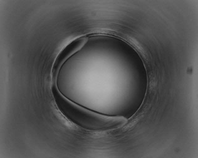 X0000090930940200708271042