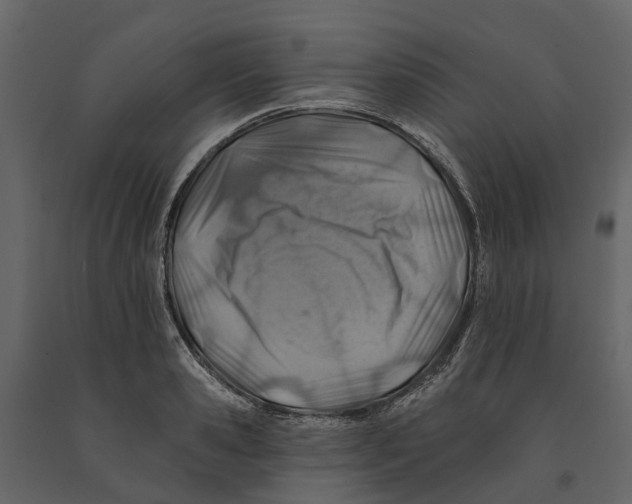 X0000090930941200708271042